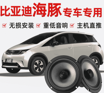 Loa cánh BYD Dolphin